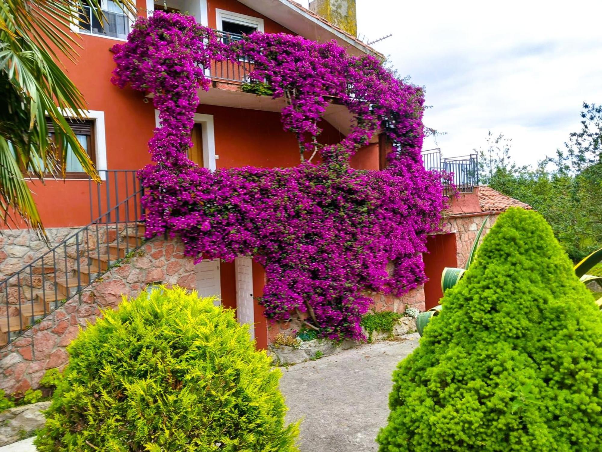 Apartamentos Mariaje Barro  Εξωτερικό φωτογραφία