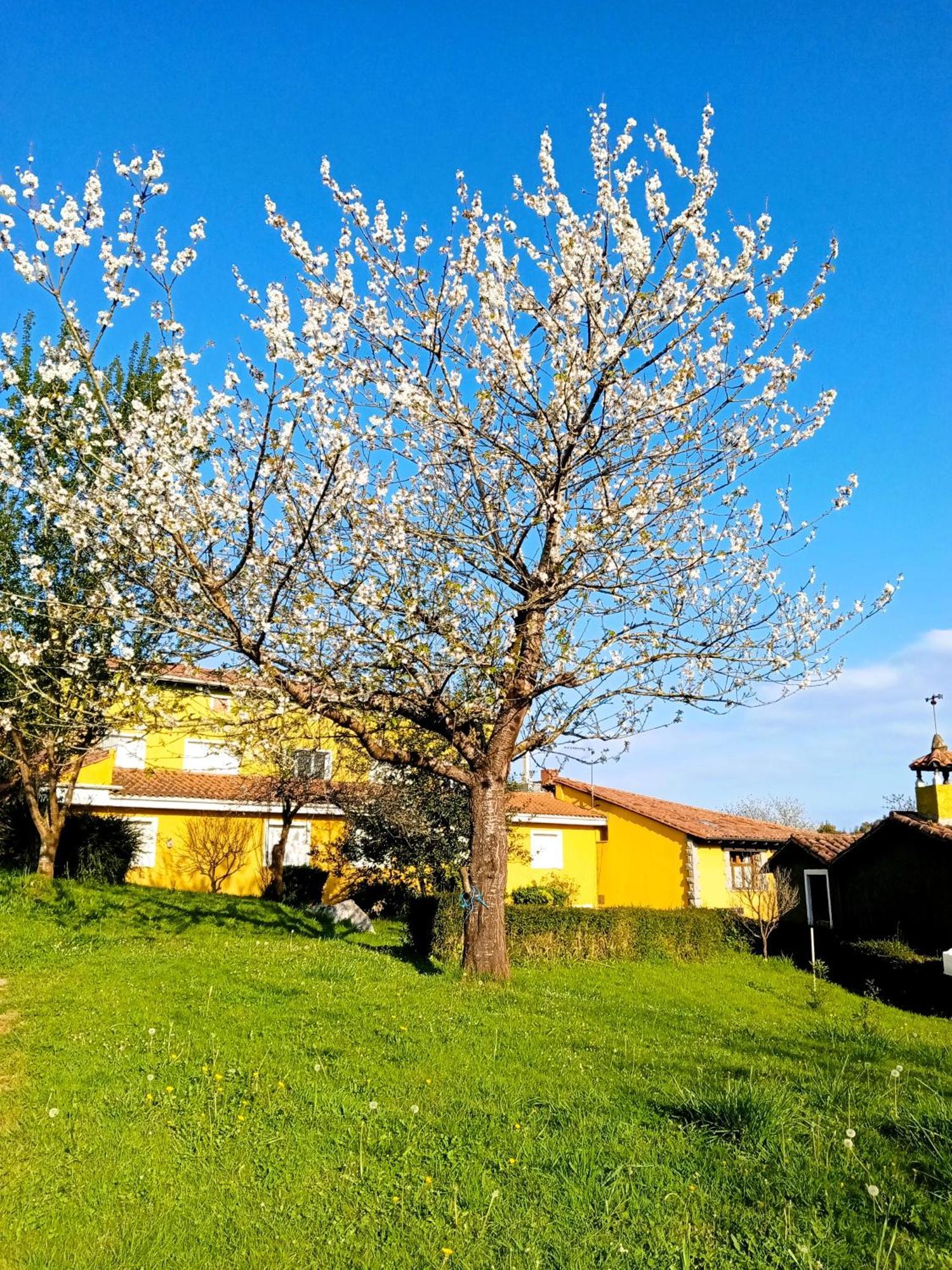 Apartamentos Mariaje Barro  Εξωτερικό φωτογραφία